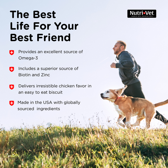 Skin & Coat Functional Biscuits for Dogs benefits