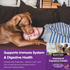 Immune & Digestive Health Functional Biscuits for Dogs use