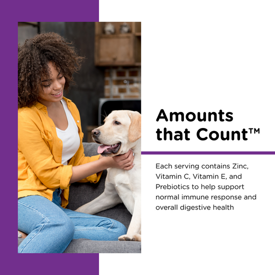 Immune & Digestive Health Functional Biscuits for Dogs ingredients