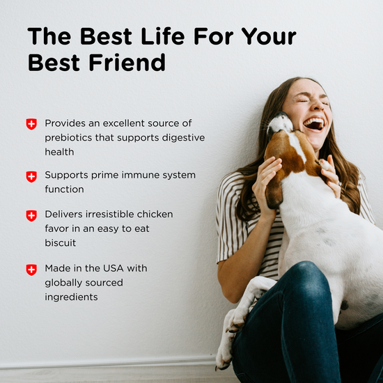 Immune & Digestive Health Functional Biscuits for Dogs benefits