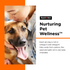 Shed-Defense Soft Chews ingredients