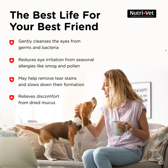 Eye Rinse for Dogs benefits