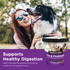 Pre and Probiotic Soft Chews use