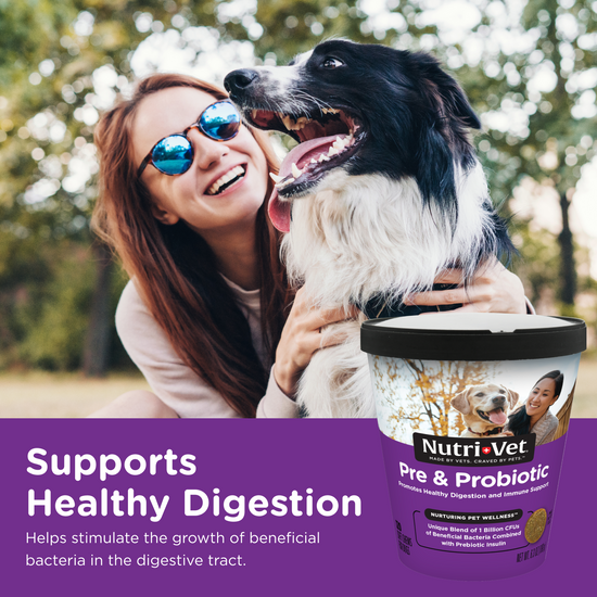 Pre and Probiotic Soft Chews use