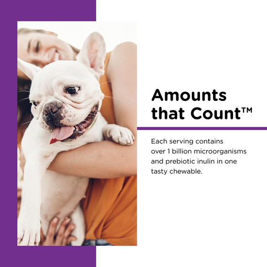 Pre and Probiotic Soft Chews ingredients