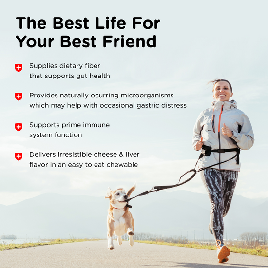 Pre and Probiotic Soft Chews benefits