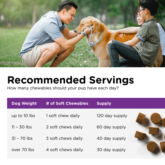 Pre and Probiotic Soft Chews serving size