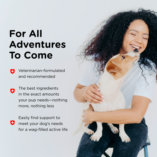 Pre and Probiotic Soft Chews nutri-vet
