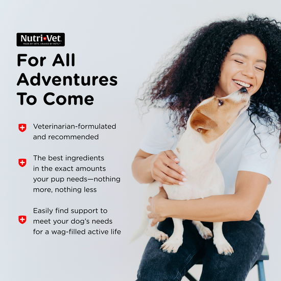 Shed-Defense Soft Chews nutri-vet