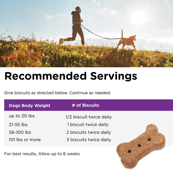 Digestive biscuits for dogs hotsell