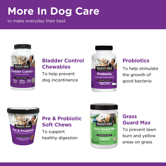 Immune & Digestive Health Functional Biscuits for Dogs related products