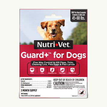 Guard+ for Dogs - Large Dog