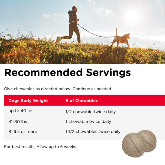 Hip & Joint Regular Strength Chewable Tablets serving size