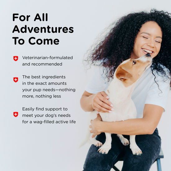 Vite Plus Adult-Vite Plus Soft Chews | Dog Vitamins | Nutri-Vet
