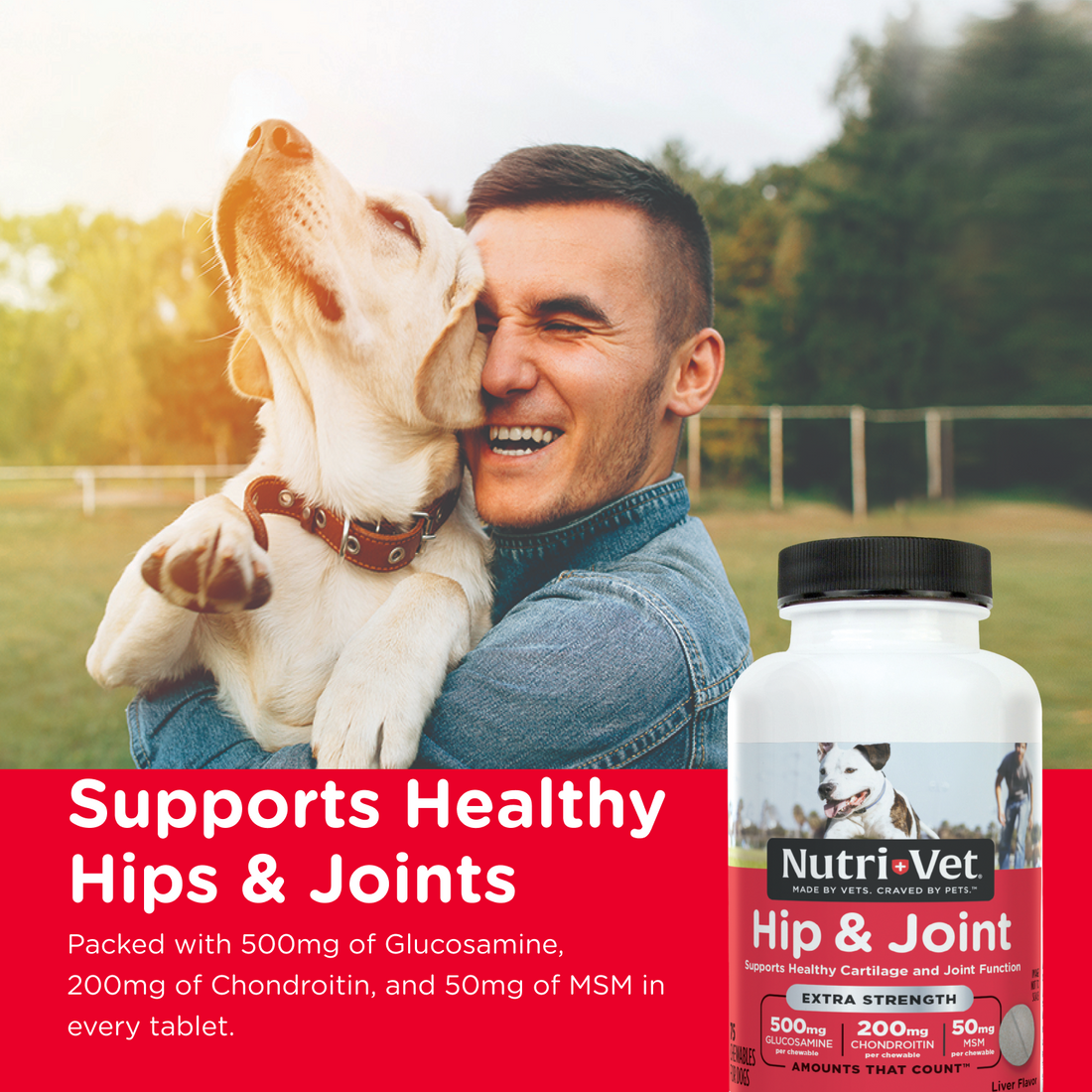 Extra Strength Dog Hip and Joint Chewable Tablet NutriVet