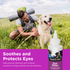 Eye Rinse for Dogs use
