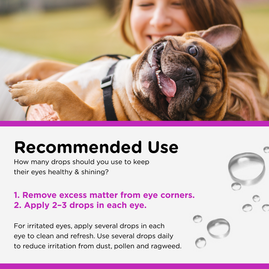 Eye Rinse for Dogs directions