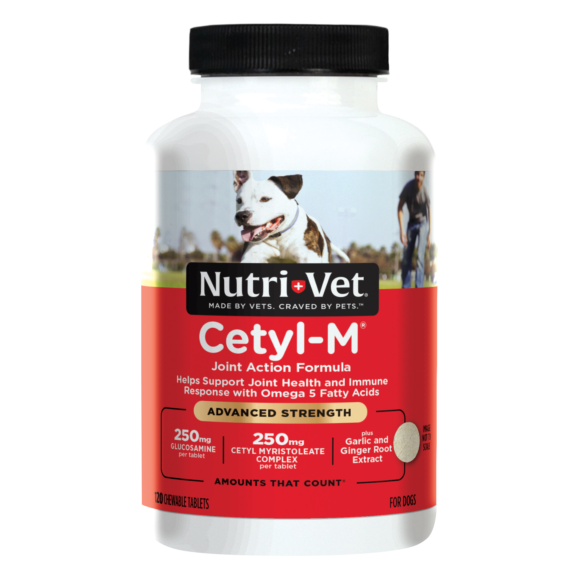 Cetyl-M Advanced Joint Action Chewable Tablets | Nutri-Vet