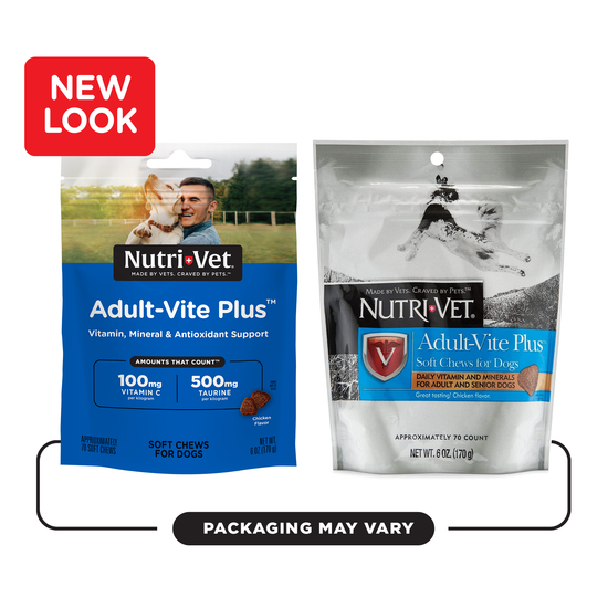 Vite Plus Adult-Vite Plus Soft Chews | Dog Vitamins | Nutri-Vet