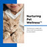 Milk Replacer with Opti-Gut™ for Kittens ingredients