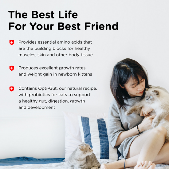 Milk Replacer with Opti-Gut™ for Kittens benefits