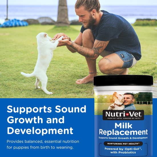 Milk Replacement Powder for dogs use