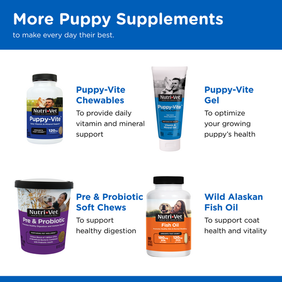 Milk Replacement Powder for dogs related products