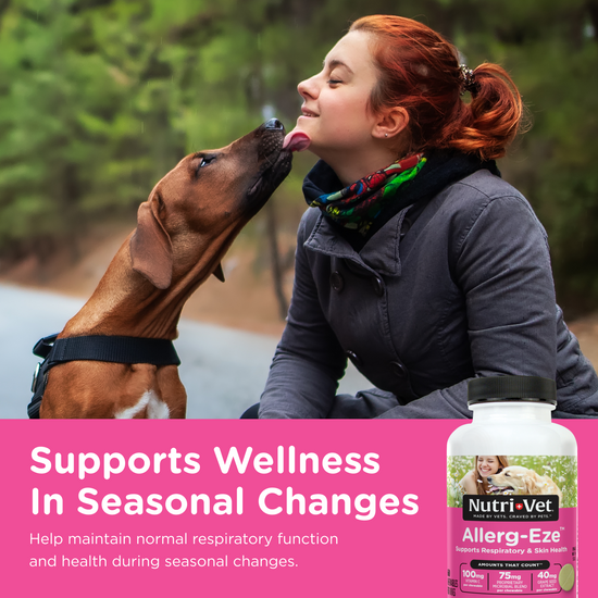 Stunning Dog Allergy Medicine For Airbnb Hosts image