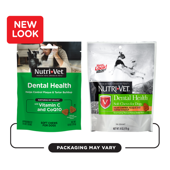 Dog Dental Health Soft Chews Nutri Vet