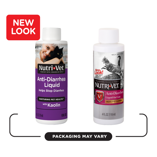 Medication for kitten diarrhea online