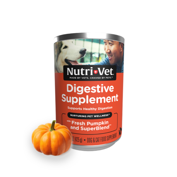 Nutrivet Digestion Pumpkin Topper