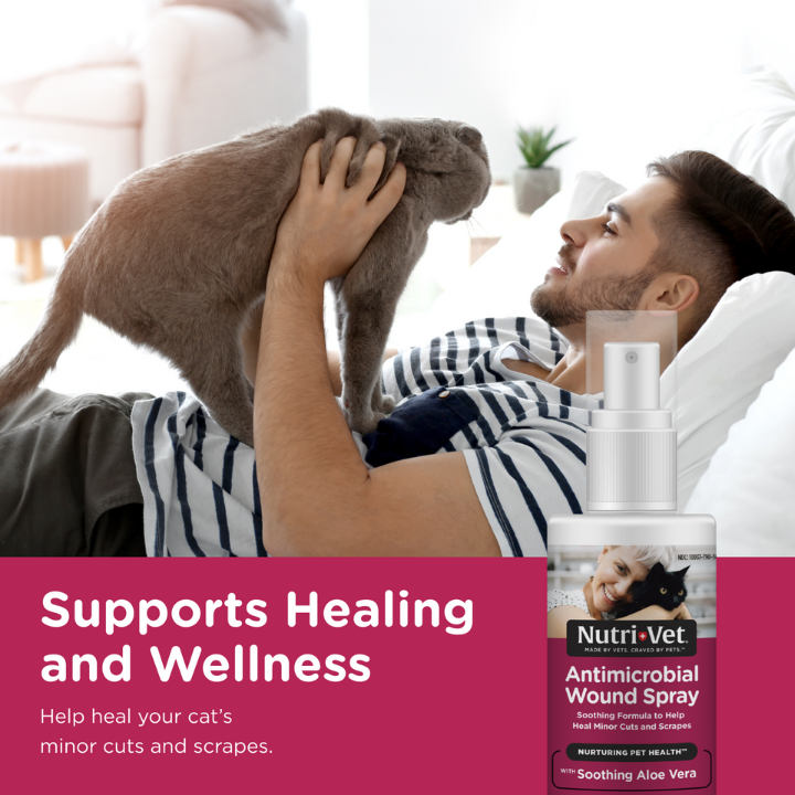 Anti-Microbial Wound Care Spray for Cats supports healing and wellness