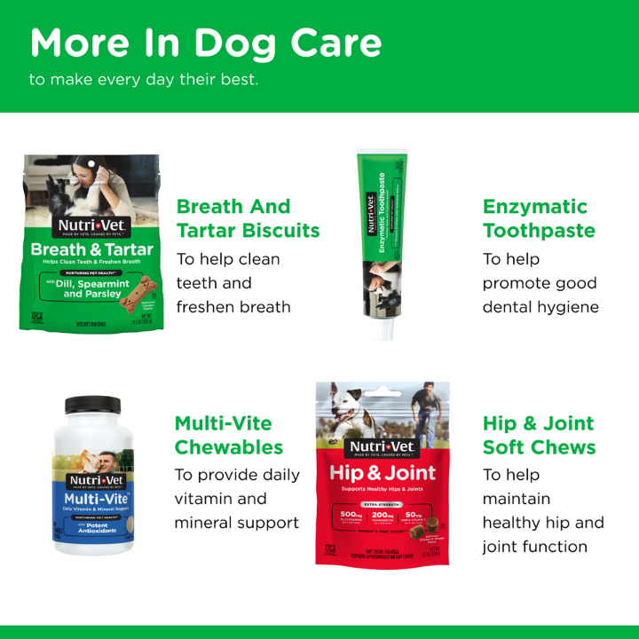 Dental Health Soft Chews more in dog care