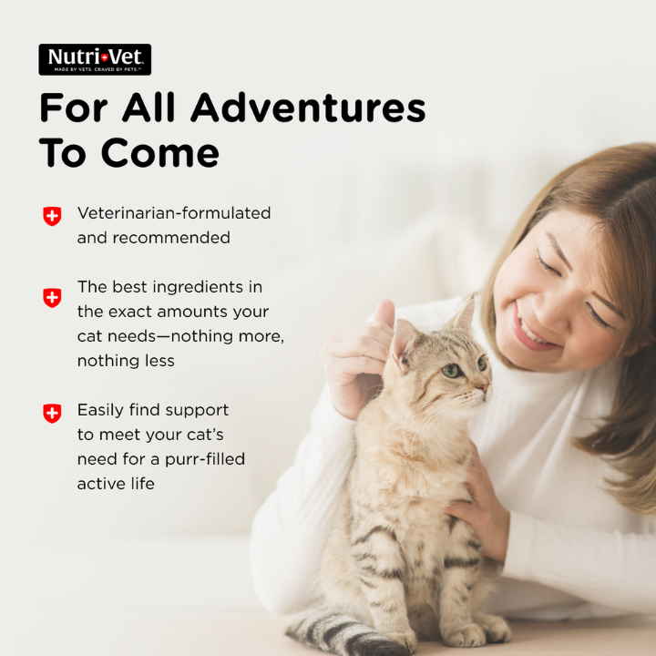 Anti-Microbial Wound Care Spray for Cats 8