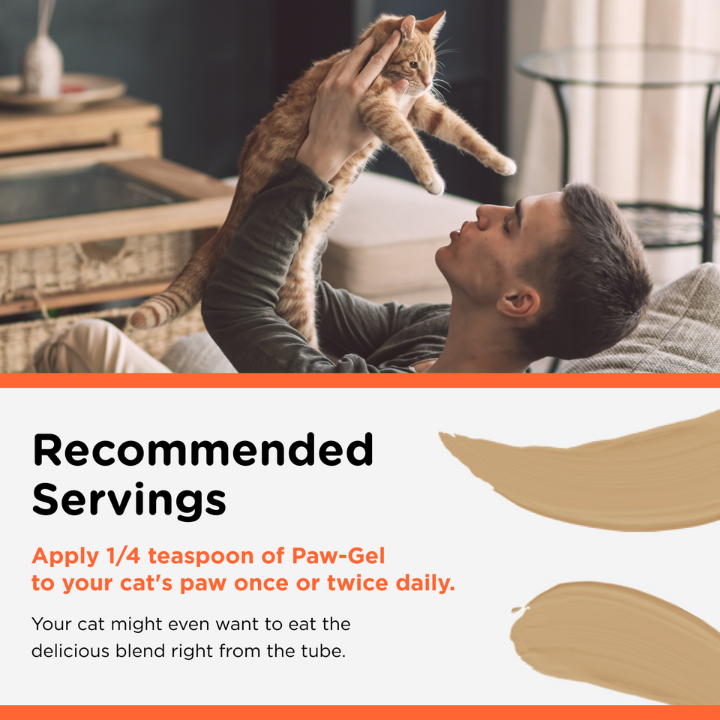 Hairball Paw Gel Salmon recommended servings