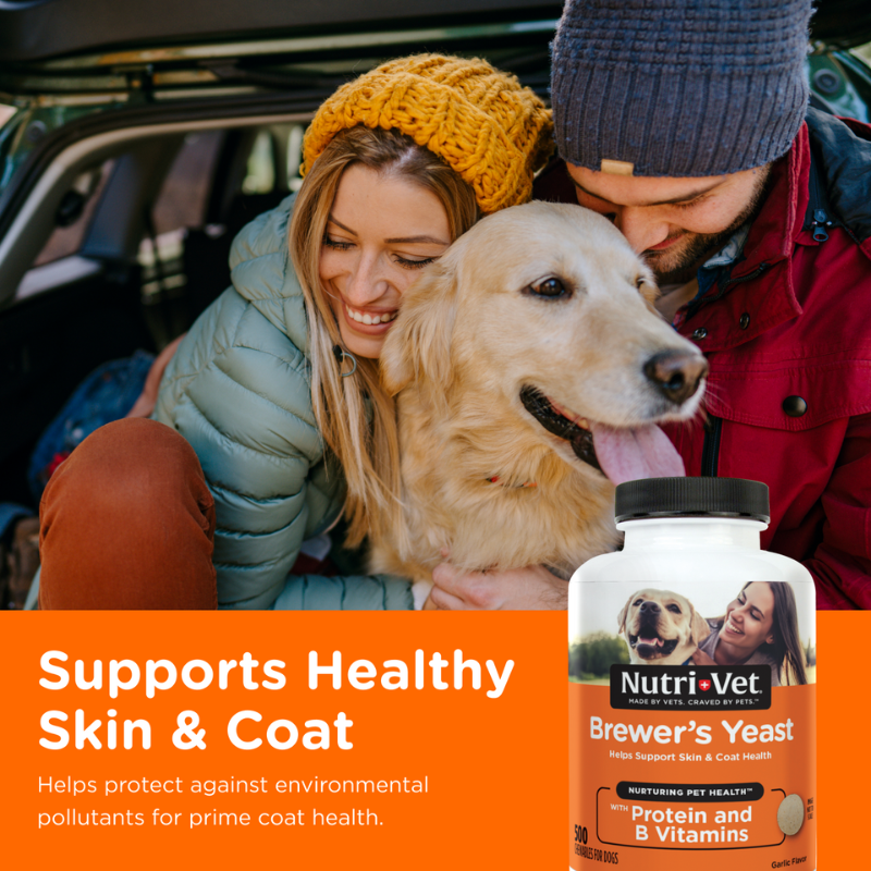 Brewer's Yeast and Garlic Chewable Tablets for Dogs for skin and coat health