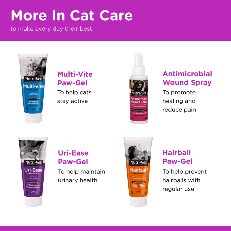 Ear Cleanse for Cats similar products