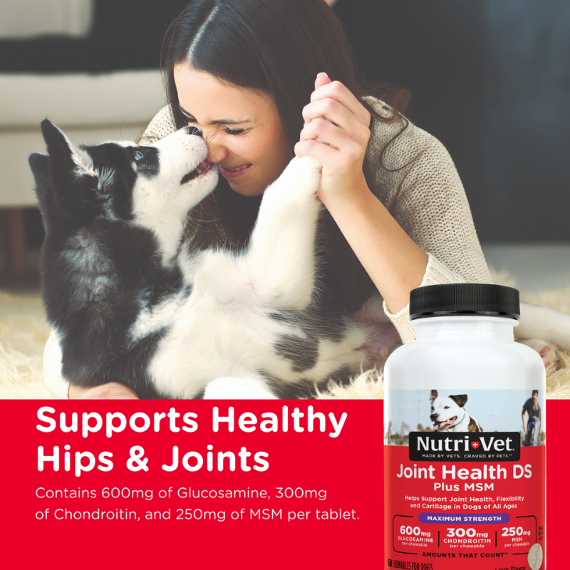 Hip & Joint Health MSM Chewable Tablets for dogs