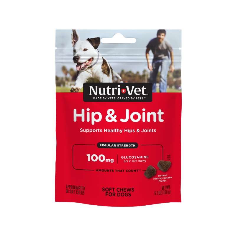 Hip & Joint Regular Strength Soft Chews