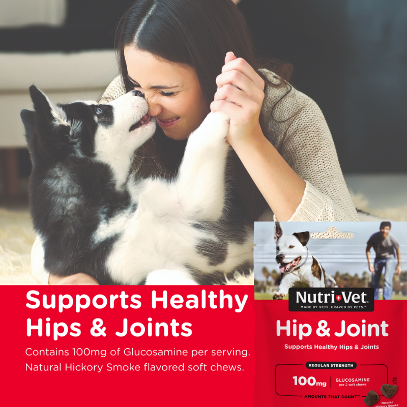 Hip & Joint Regular Strength Soft Chews for healthy dogs