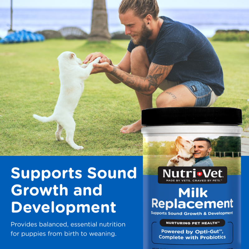 Milk Replacer for Puppies for growth and development
