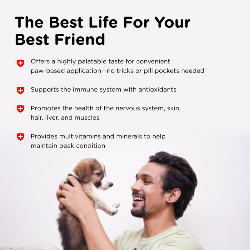 Puppy-Vite Gel benefits