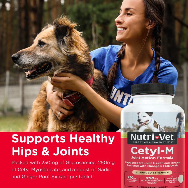 Nutri-Vet Cetyl-M Joint Supplement hip and joint supplement for dogs