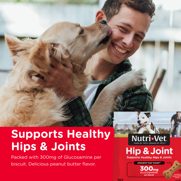Hip and Joint Biscuits for dogs