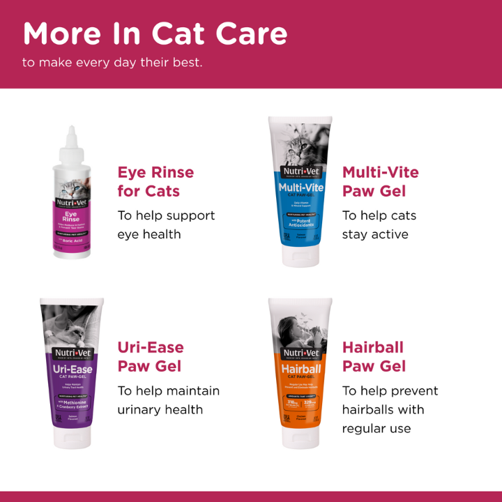 Anti-Microbial Wound Care Spray for Cats more in cat care