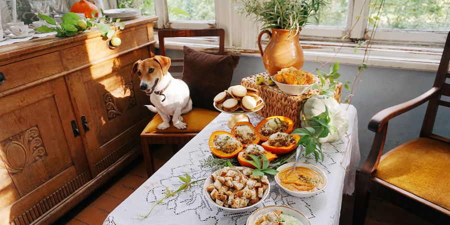 thanksgiving food that is safe for dogs 4