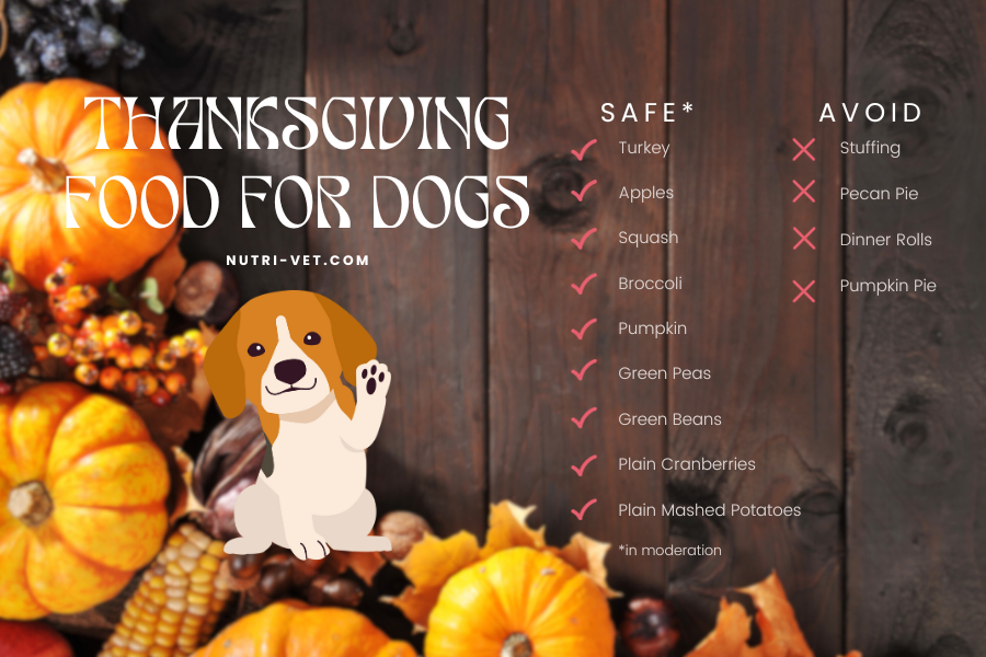 thanksgiving food that is safe for dogs 3