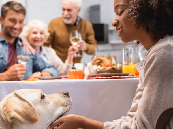 thanksgiving food that is safe for dogs